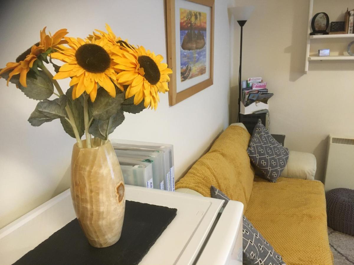 קרנארפון Chapel St Apartments מראה חיצוני תמונה